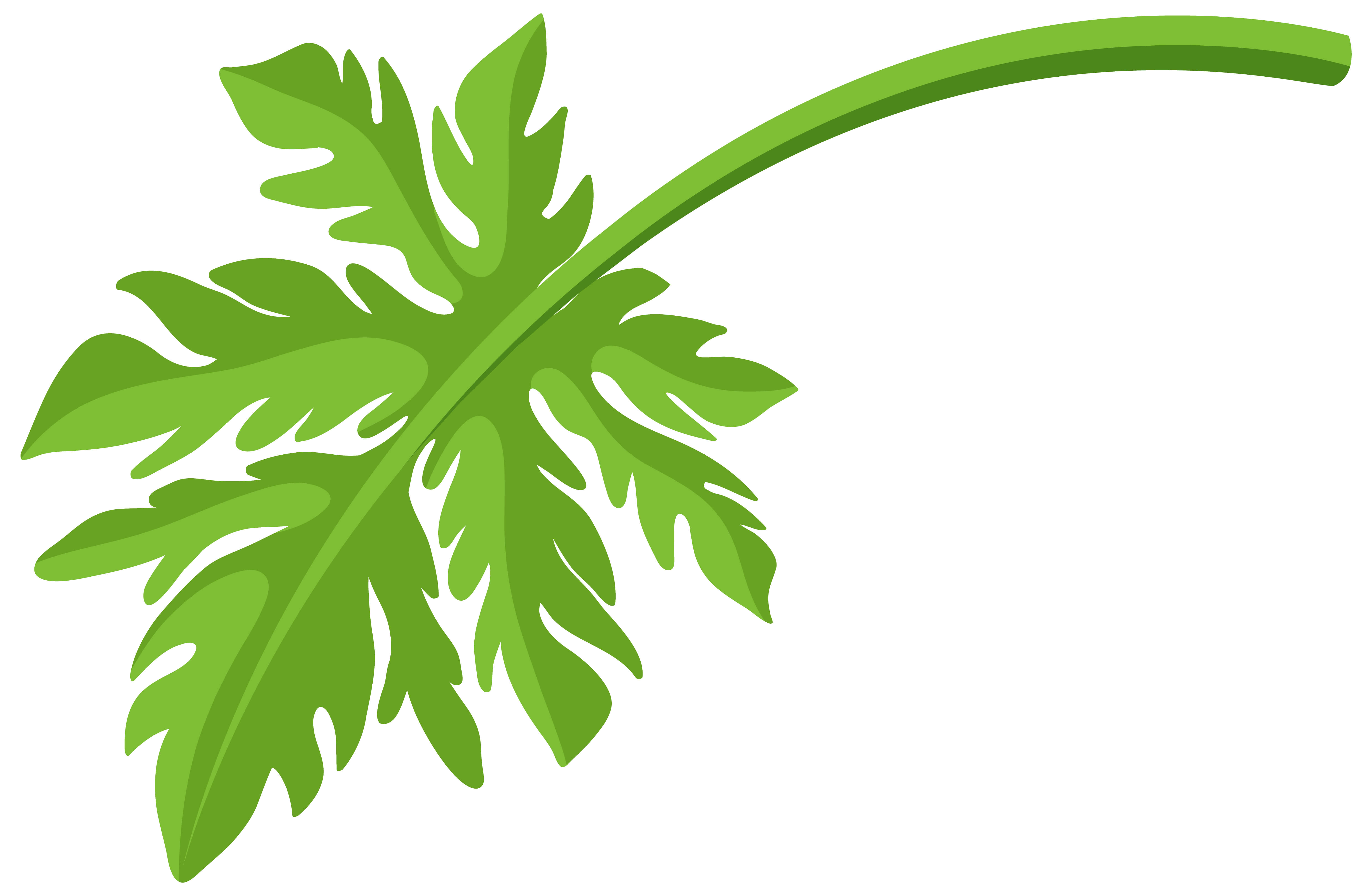 Papaya Leaves: Health Benefits Backed by Science